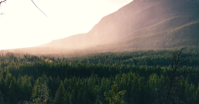 Spinal Decompression